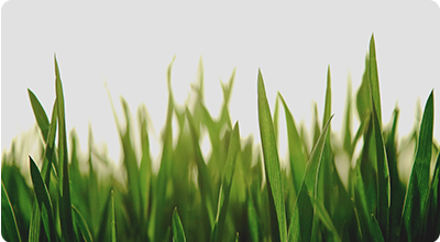 Investimento em hidrogénio verde chegará aos 7 mil milhões de euros